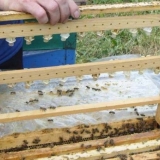 Proizvodnja ramova za košnice